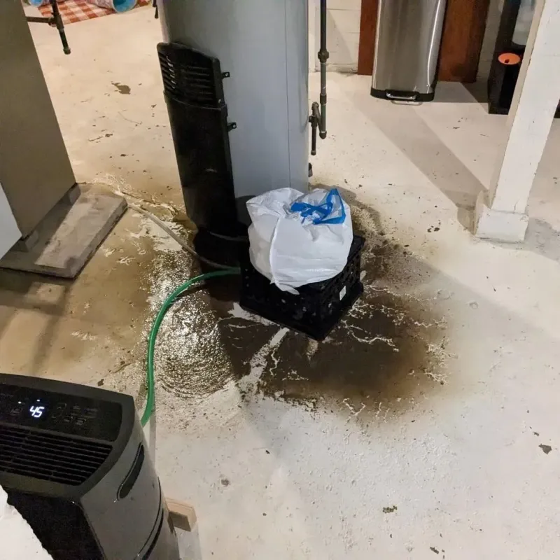 Sewage Backup Cleanup Service in Uvalde Estates, TX